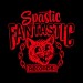 Spastic Fantastic Records - Stray Cult Hoodie black
