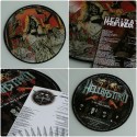 Herida Profunda / Hellbstard - Split LP (Picture)