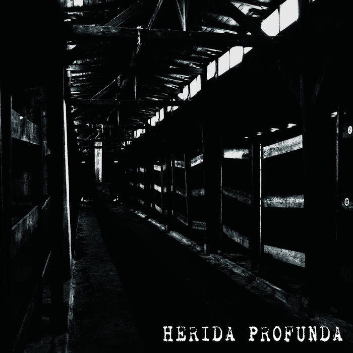 Herida Profunda - Herida Profunda LP