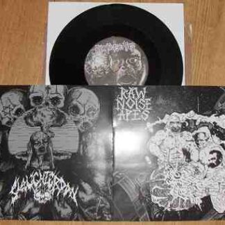 Raw Noise Apes / Slaughterday - Split 7''
