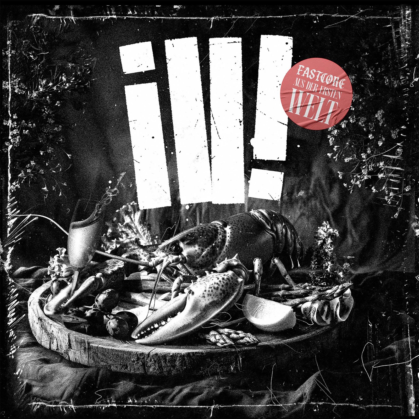 ill! - Fastcore aus der ersten Welt LP (clear vinyl) – Bild 2