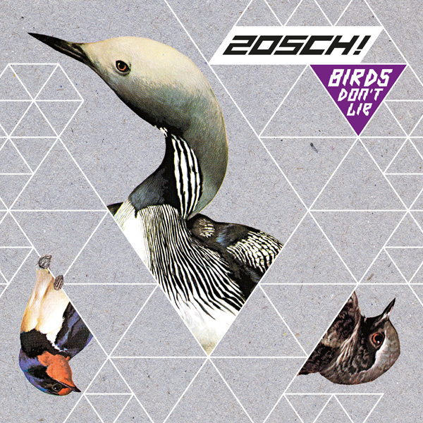 Zosch! – Bird's Dont Lie 12''