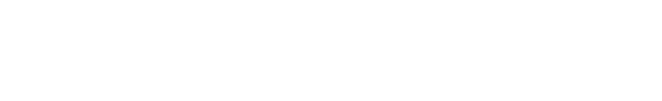 Wir sind Fliegen
